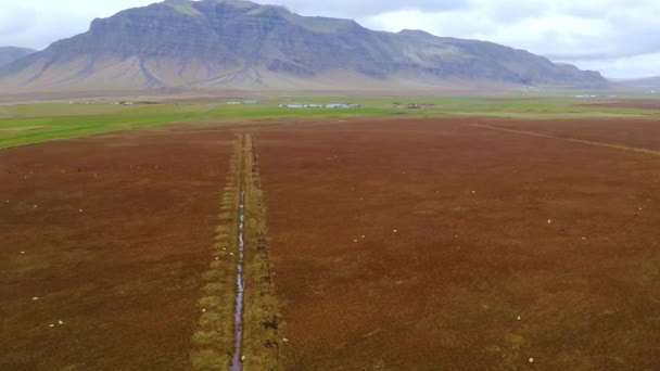 Mooie langzame drone opname van het IJslandse landschap. — Stockvideo