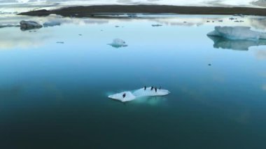 İzlanda 'nın doğu kıyısında yüzen buzdağlarının hava manzarası