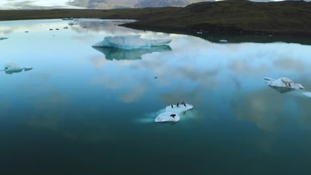 Luchtfoto van ijsbergen drijvend op de oostkust van IJsland — Stockvideo