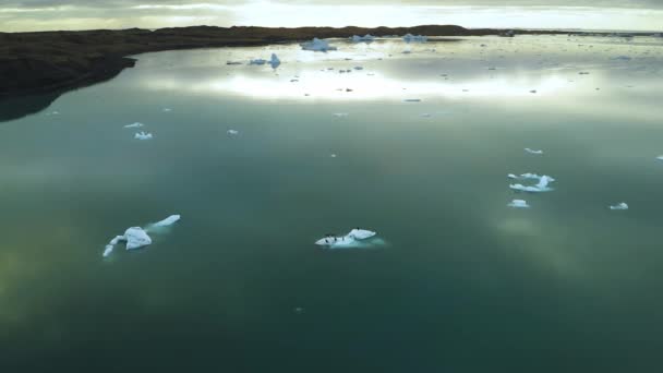 Az Izland keleti partjainál lebegő jéghegyek légi kilátása — Stock videók