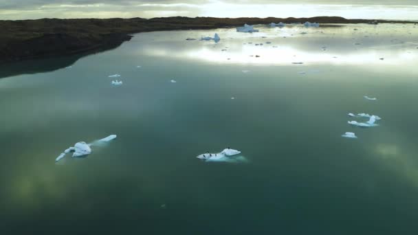 İzlanda 'nın doğu kıyısında yüzen buzdağlarının hava manzarası — Stok video
