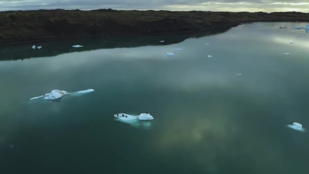 İzlanda 'nın doğu kıyısında yüzen buzdağlarının hava manzarası — Stok video