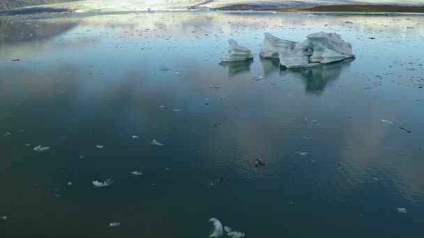Luftaufnahme von Eisbergschollen, die im Wasser treiben — Stockvideo