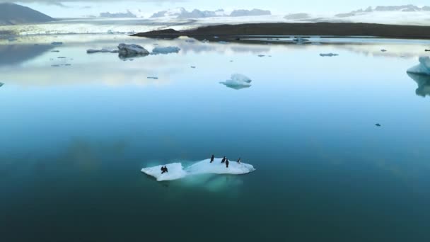 Vista aérea de icebergs flotando en la costa oriental de Islandia — Vídeos de Stock