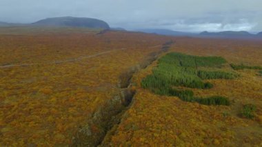 Eldhraun lav tarlalarından geçen yol havası. İzlanda.