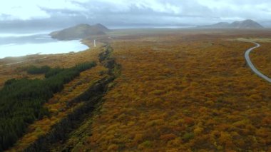 Eldhraun lav tarlalarından geçen yol havası. İzlanda.