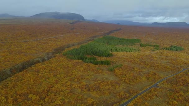 穿过Eldhraun熔岩场的空中道路。冰岛. — 图库视频影像