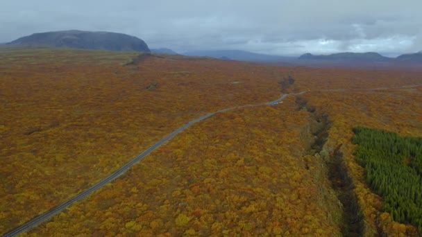 Luchtfoto van Road door Eldhraun lava velden. IJsland. — Stockvideo