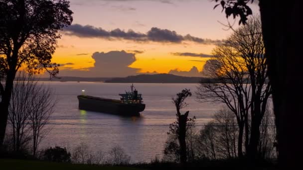 Gün batımında Seattle 'da bir körfeze demir atmış büyük bir tanker gemisi. — Stok video