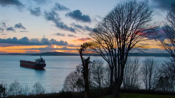 Величезне судно танкерів стояло на якорі в Сіетлі на заході сонця. — стокове відео