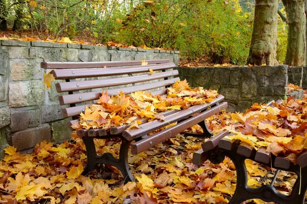 Belle Vue Sur Parc Avec Des Feuilles Colorées Sur Une — Photo