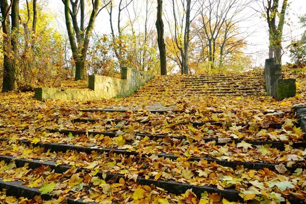 Belle Vue Sur Parc Avec Des Feuilles Colorées Sur Une — Photo