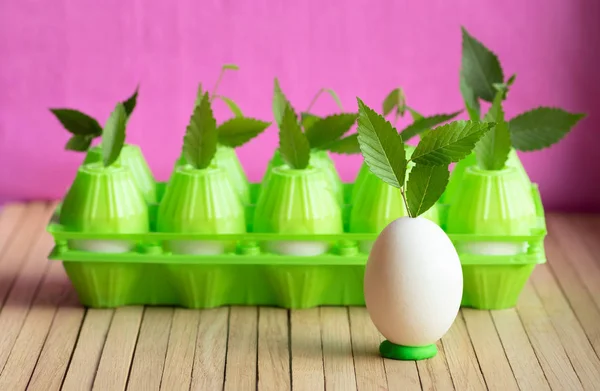 Chicken egg and plastic packaging for eggs are on the table. Shoots of young plants with green leaves sprouted through the packaging as a symbol of the fight against plastic waste.