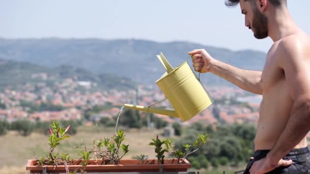 Junger Mann gießt Pflanzen auf Wohnungsbalkon — Stockvideo