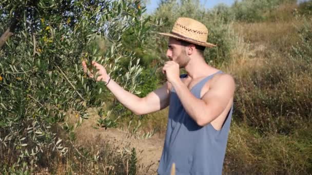 Modèle masculin relaxant, marchant dans un champ — Video