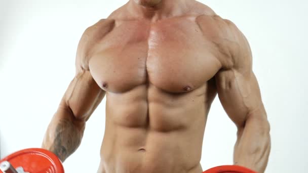 Homem muscular exercitando ombros com halteres — Vídeo de Stock