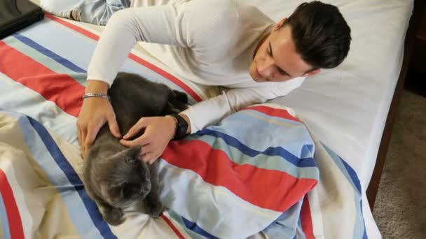 Schöner junger Mann kuschelt mit seinem grauen Katzenhaustier — Stockvideo