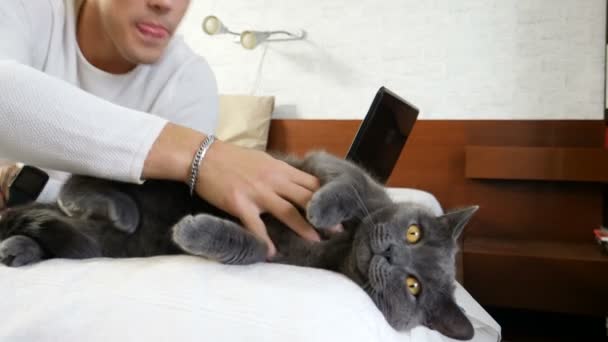 Jóképű fiatalember ölelgeti a szürke macskáját. — Stock videók
