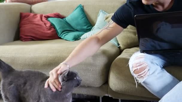 Красивий молодий чоловік придушуючи свого сірого кота — стокове відео