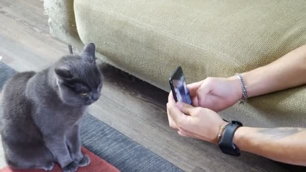 Młody człowiek biorąc zdjęcie jego kot — Wideo stockowe