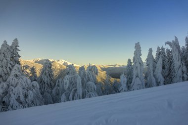 Muhteşem dağ manzarası güneş parlıyor. Karpatlar dramatik kış sahne