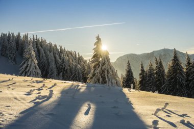 Muhteşem dağ manzarası güneş parlıyor. Karpatlar dramatik kış sahne