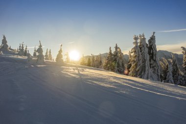 Muhteşem dağ manzarası güneş parlıyor. Karpatlar dramatik kış sahne