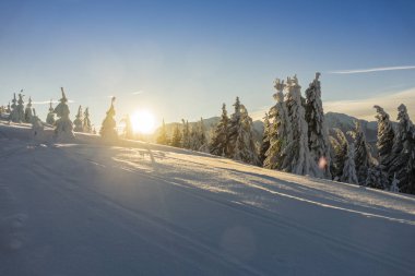 Muhteşem dağ manzarası güneş parlıyor. Karpatlar dramatik kış sahne