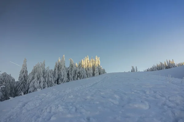 Fantastisch Berglandschap Gloeiende Door Zonlicht Dramatische Winterse Scène Karpaten — Stockfoto