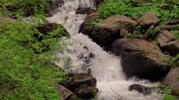 Waterfall Deep Mountains — Vídeos de Stock