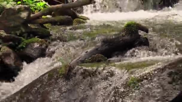 Waterfall Deep Mountains — Stock Video