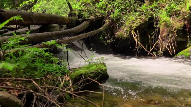 Waterfall Deep Mountains Slow Motion — Stok video