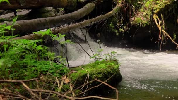 Waterfall Deep Mountains Slow Motion — Stock Video