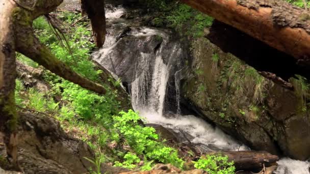 Waterfall Deep Mountains Slow Motion — Stok video