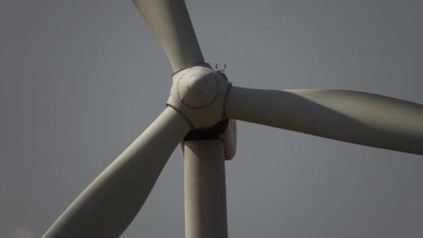 Windmühlen Auf Dem Feld — Stockvideo