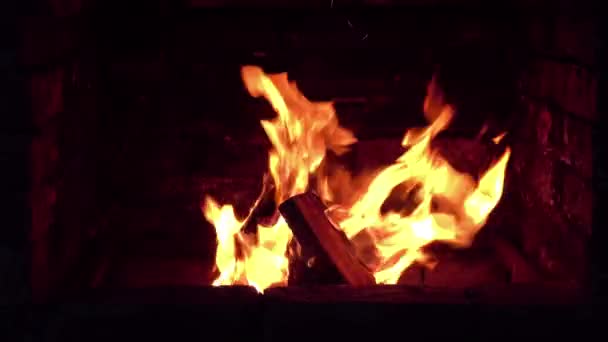 Helle Flamme Des Feuers Brennt Kamin Sommerabend — Stockvideo