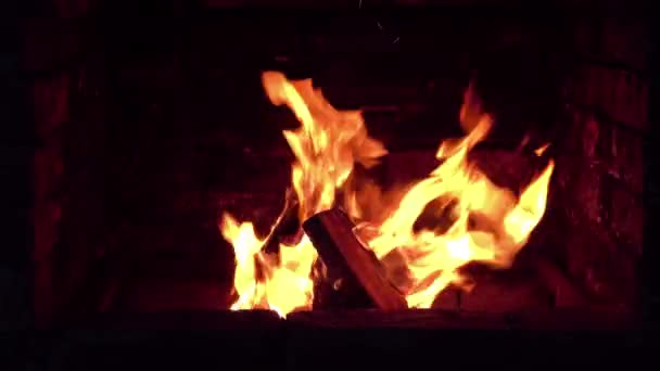 Chama Brilhante Queimaduras Fogo Uma Lareira Tarde Verão — Vídeo de Stock