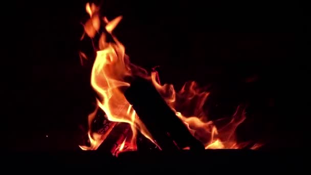 Φωτεινή Φλόγα Της Φωτιάς Καίει Τζάκι Βράδυ Του Καλοκαιριού — Αρχείο Βίντεο