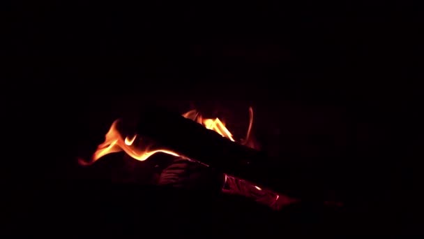 Helle Flamme Des Feuers Brennt Kamin Sommerabend — Stockvideo