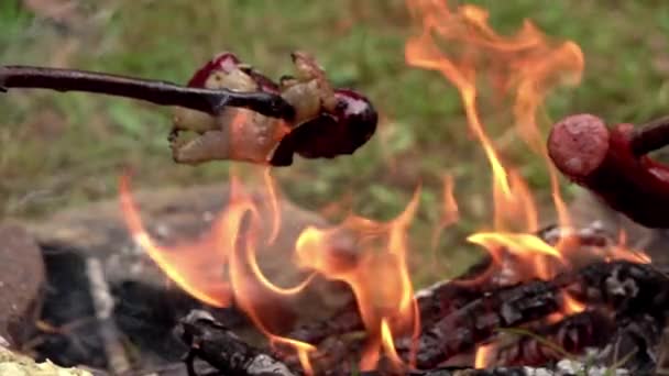 Masa Excursionistului Toastarea Baconului Cârnaților Foc Natural Apoi Picurarea Grăsimii — Videoclip de stoc
