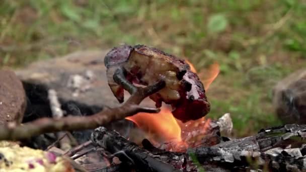 Comida Excursionista Tostar Tocino Salchicha Fuego Natural Luego Gotear Grasa — Vídeo de stock
