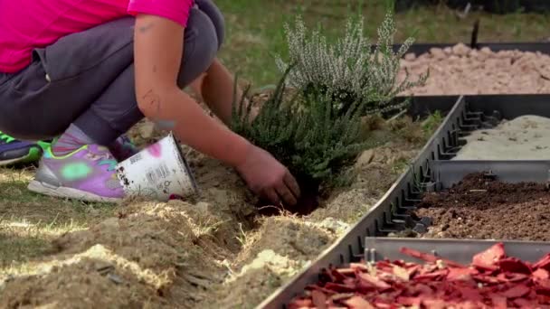 Nahaufnahme Von Teenager Und Kinderhänden Hilfe Beim Pflanzen Von Blumen — Stockvideo