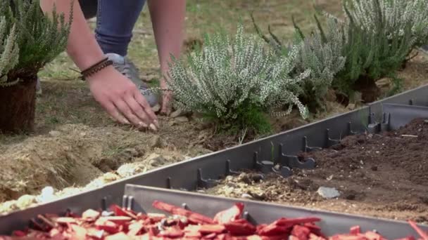 Mãos Adolescentes Plantando Flores Jardim Sensorial Conceito Mundo Verde — Vídeo de Stock