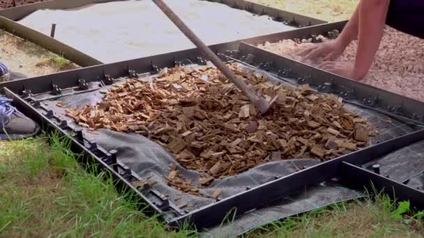 Kleine Kinder Bauen Sinnesgarten Einen Pfad Aus Unterschiedlichen Materialien Holz — Stockvideo