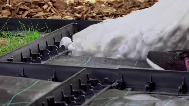 Young Children Constructing Path Sensory Garden Made Diferent Materials Wood — Stock Video