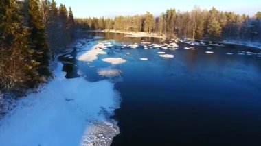 nehir ve orman üzerinde kış sahnesinin drone görüntüleri