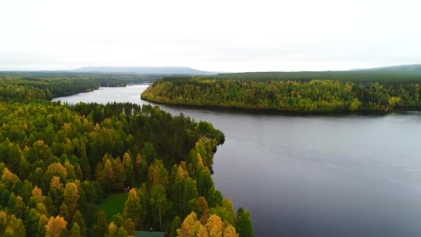 Drone Felvételek Felett Folyó Erdő — Stock videók