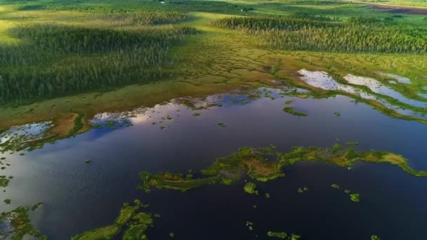 Drohnenaufnahmen Über Fluss Und Dielen — Stockvideo