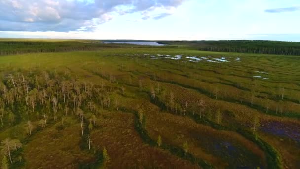 Drone Felvételek Felett Területeken — Stock videók