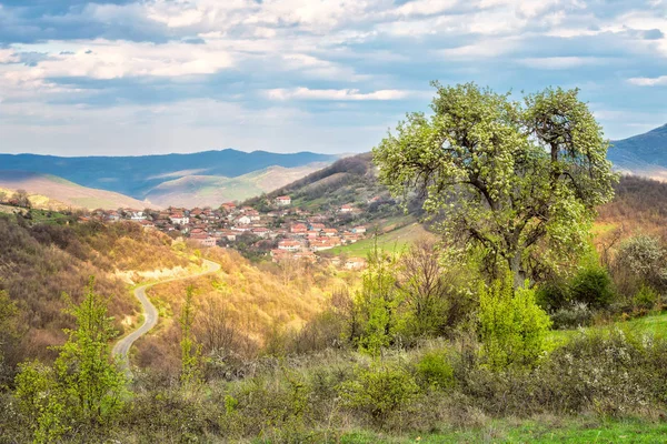 Frühling Naht Herrlicher Frühlingsblick Mit Kleinem Dorf Rhodopi Gebirge Bulgarien — Stockfoto